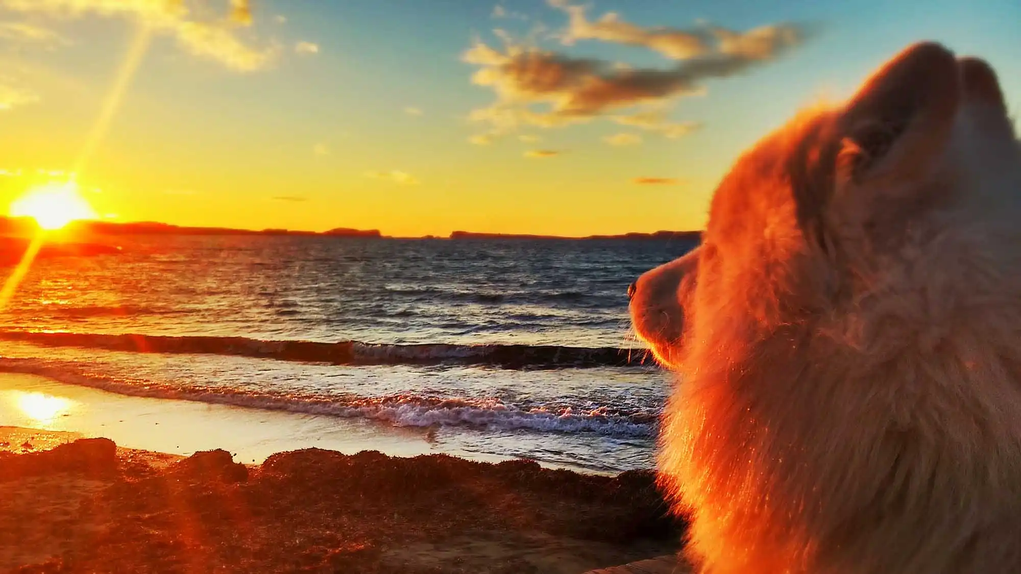 20141208_172521_HDR~2