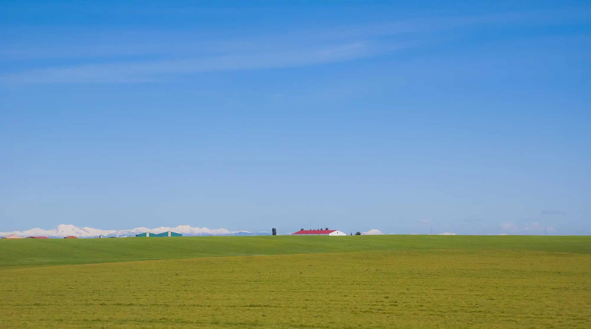 DSC_0099