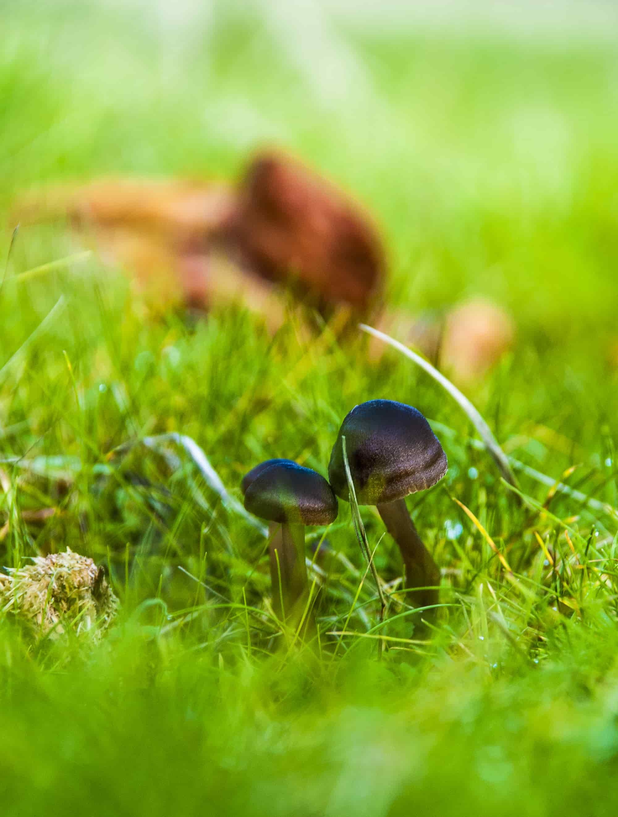 DSC_0143-min