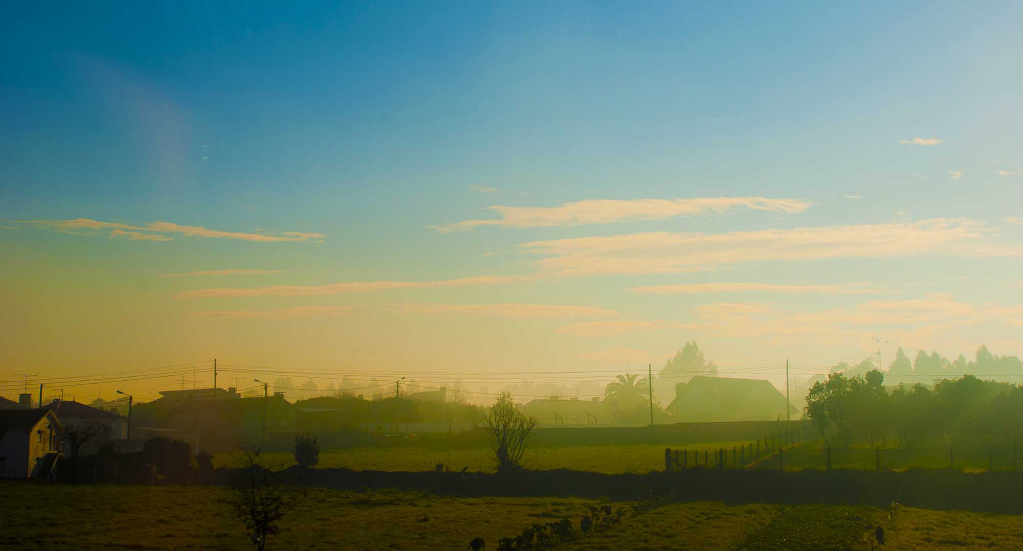 DSC_0228