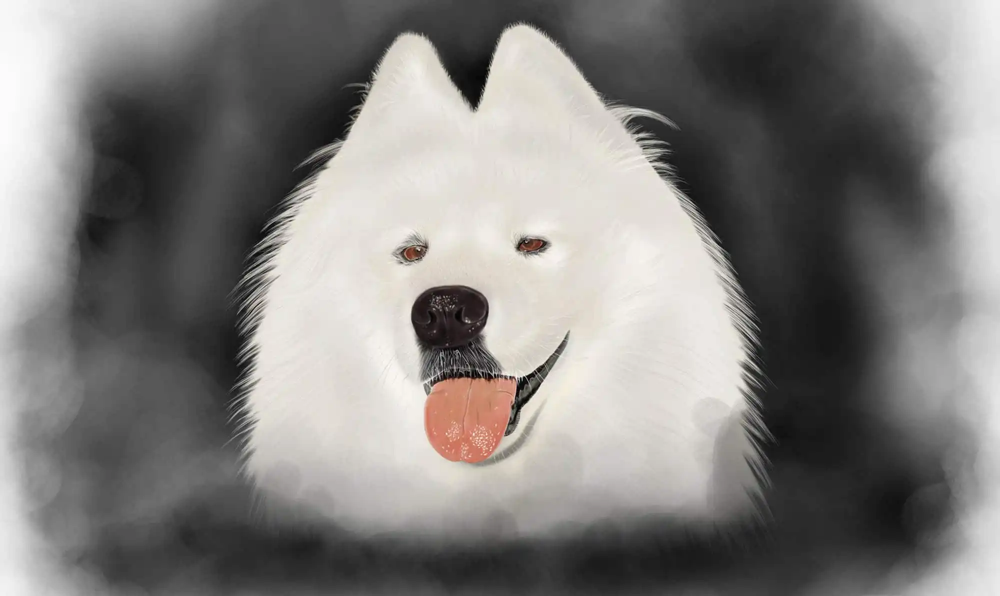 lughilustracion-min